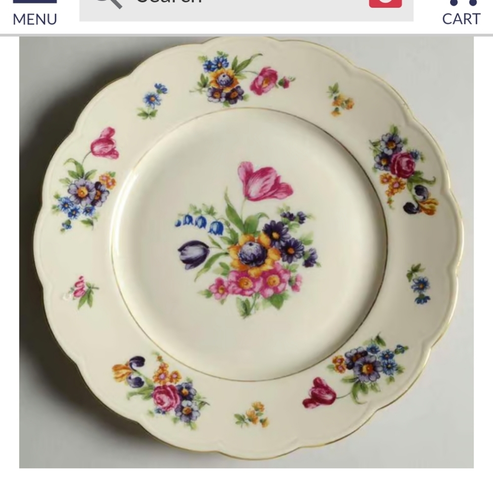 Royal gardens Brazil boutique floral China set of 6